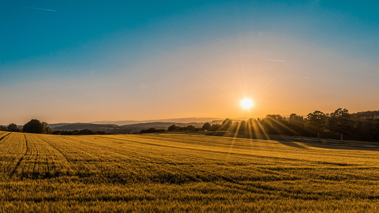 View of a sunset on an an open field.